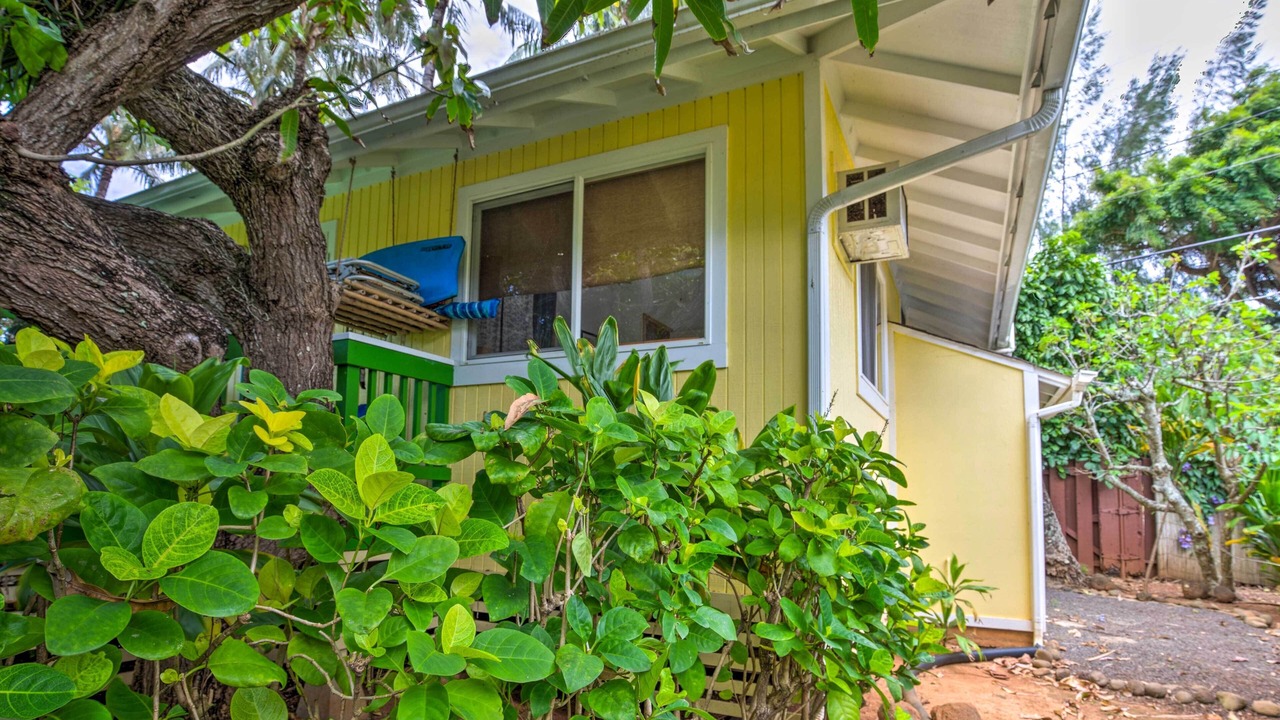 Photo of Others in Wailua