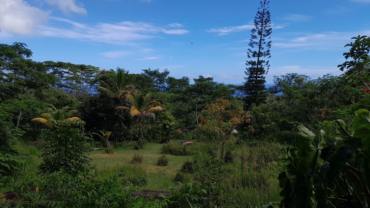 Photo of Outdoor in Pahoa