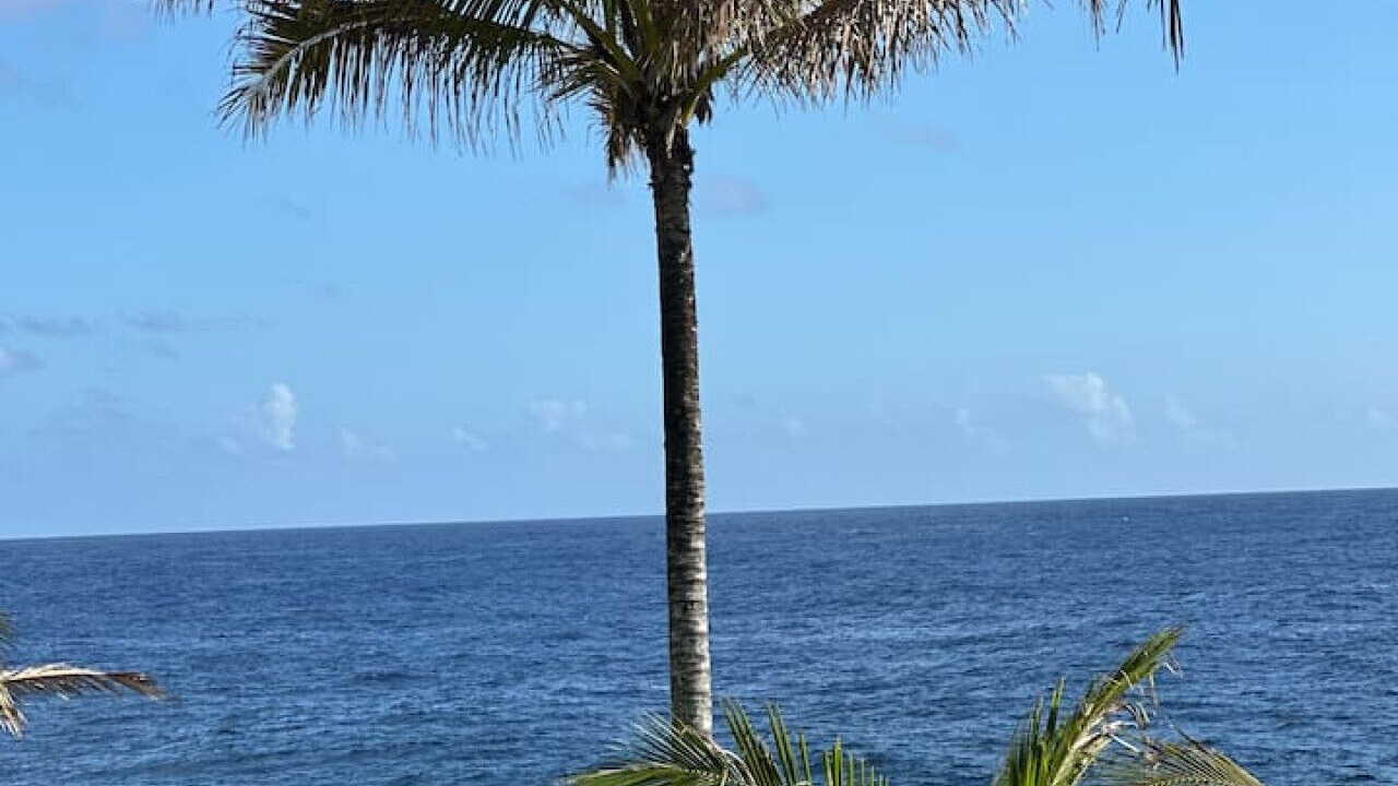 Photo of Others in Kapoho