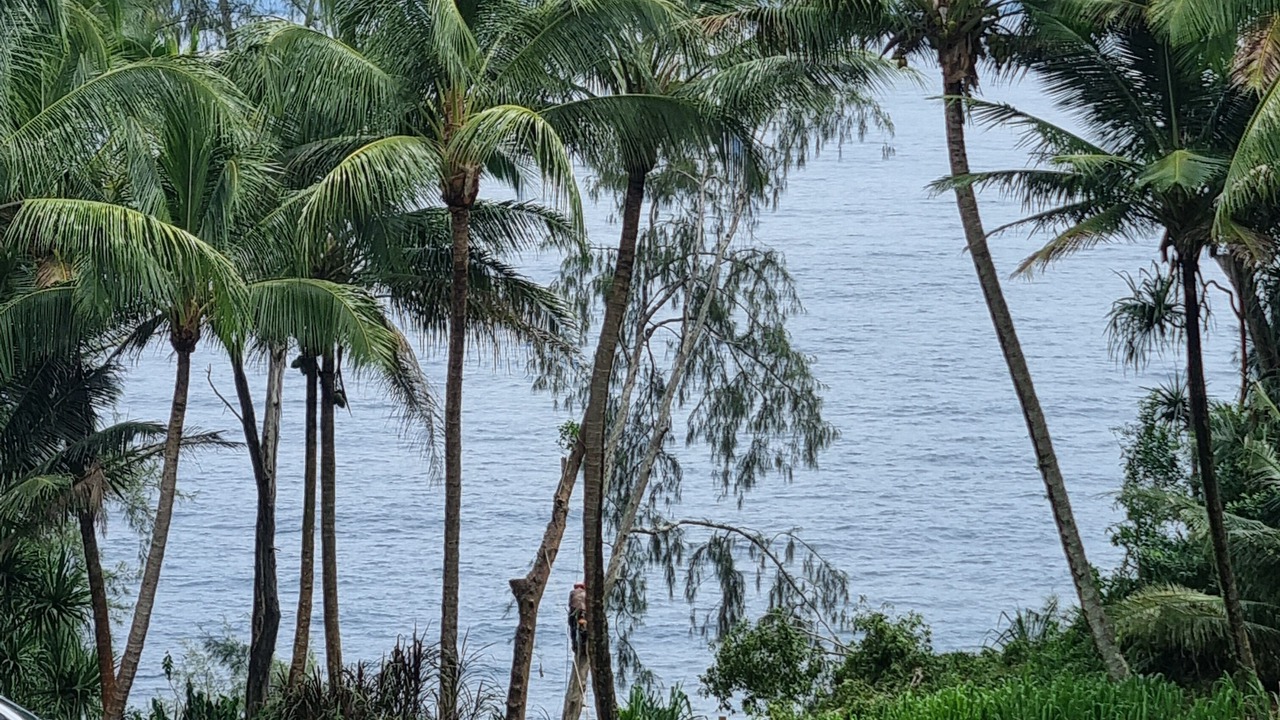 Photo of Outdoor in Papaikou