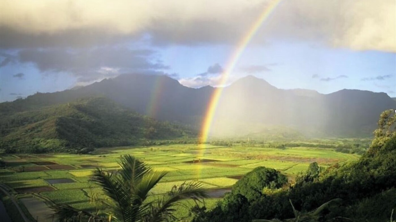 Photo of Others in Wainiha