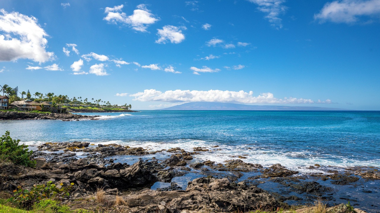 Photo of Others in Napili