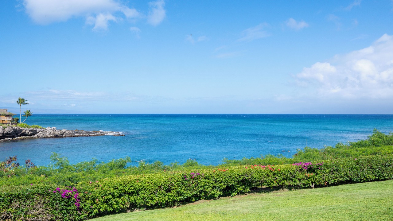 Photo of Others in Napili