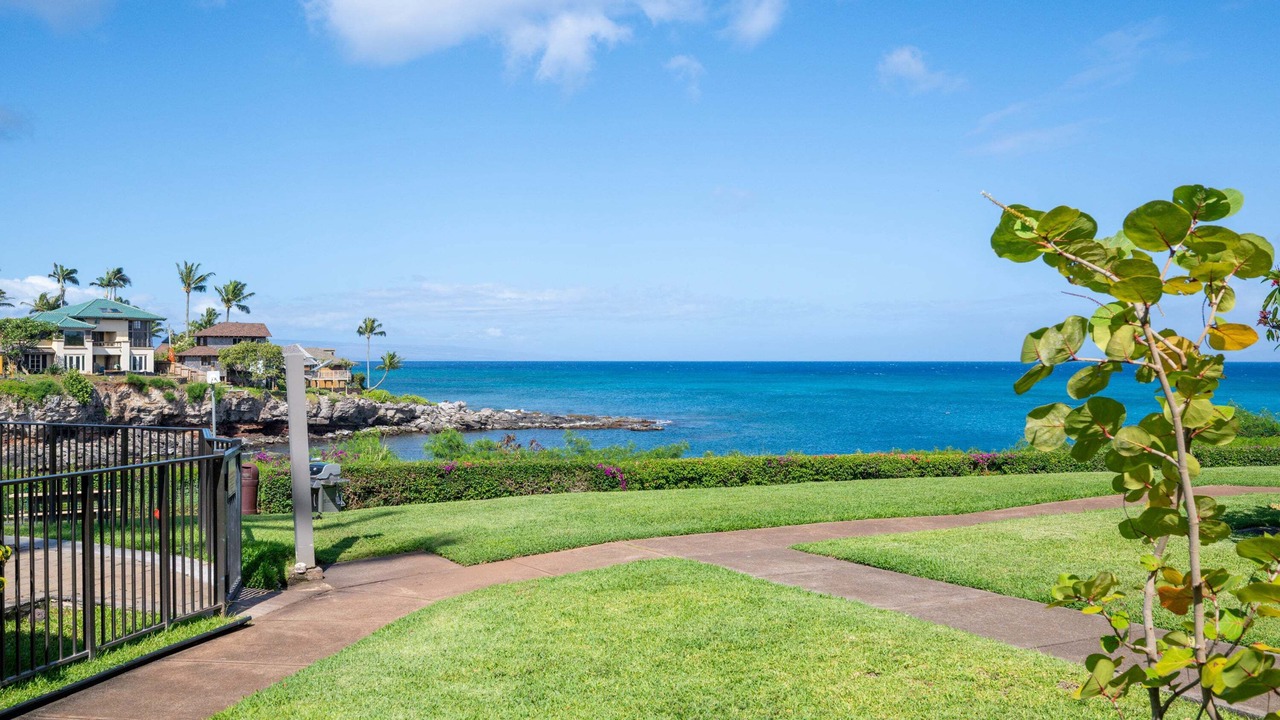Photo of Outdoor in Napili
