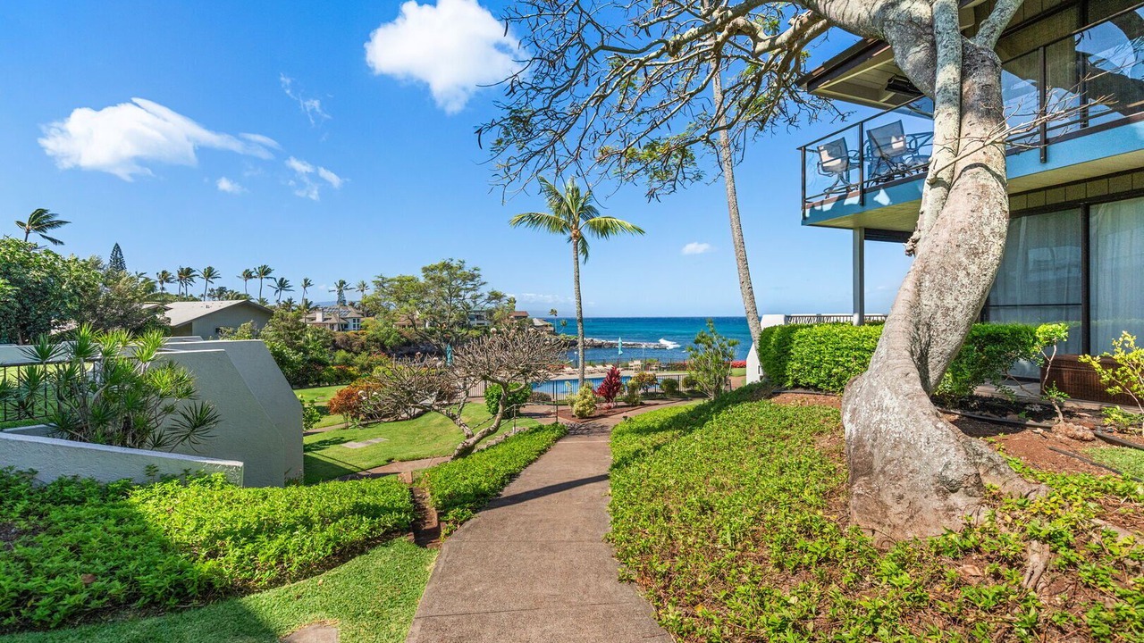 Photo of Outdoor in Napili