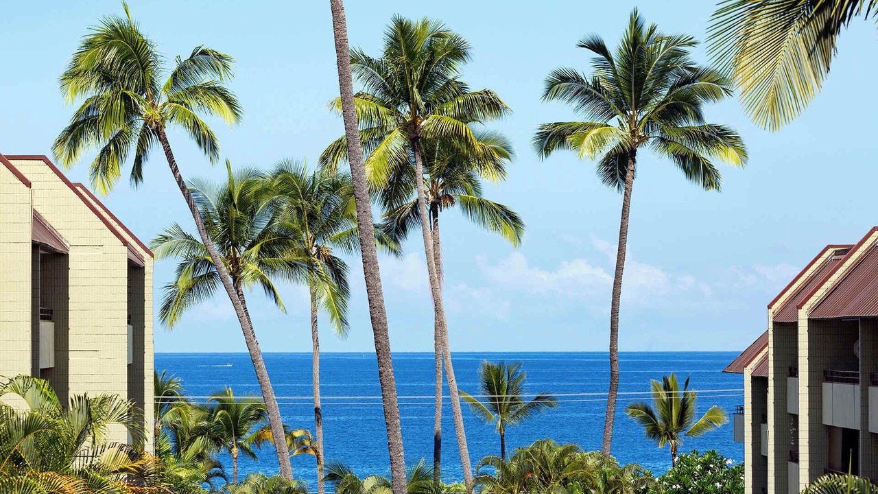 Photo of Others in Kahaluu Bay