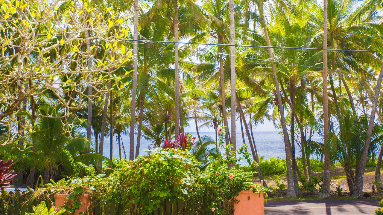 Photo of Others in Kehena Beach Estates