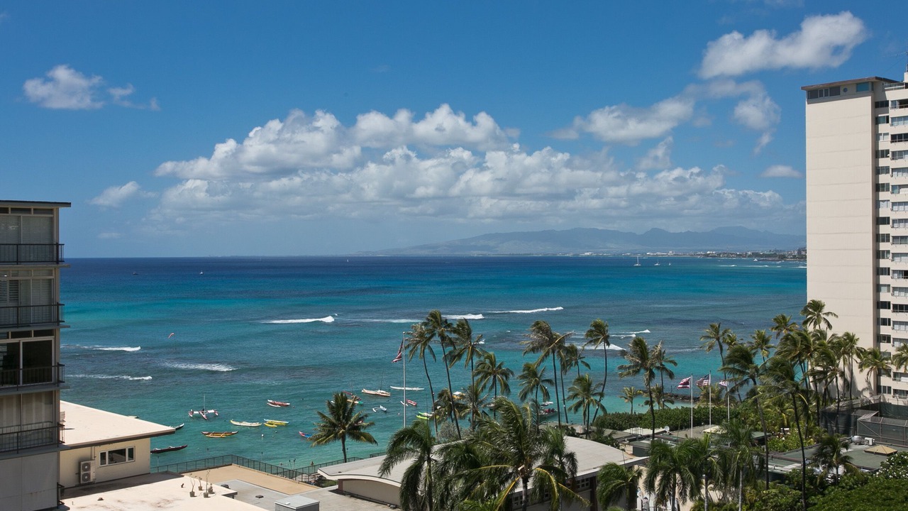 Photo of Others in Diamond Head - Kapahulu - St. Louis