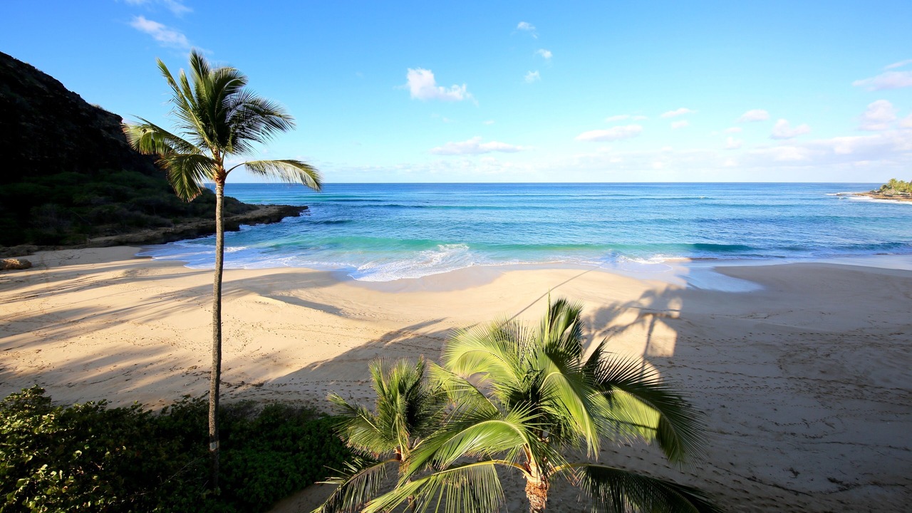 Photo of Others in Makaha