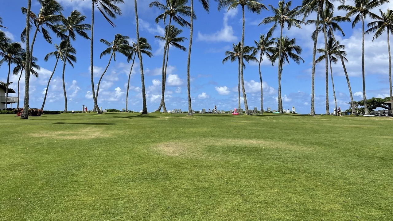 Photo of Others in Poipu