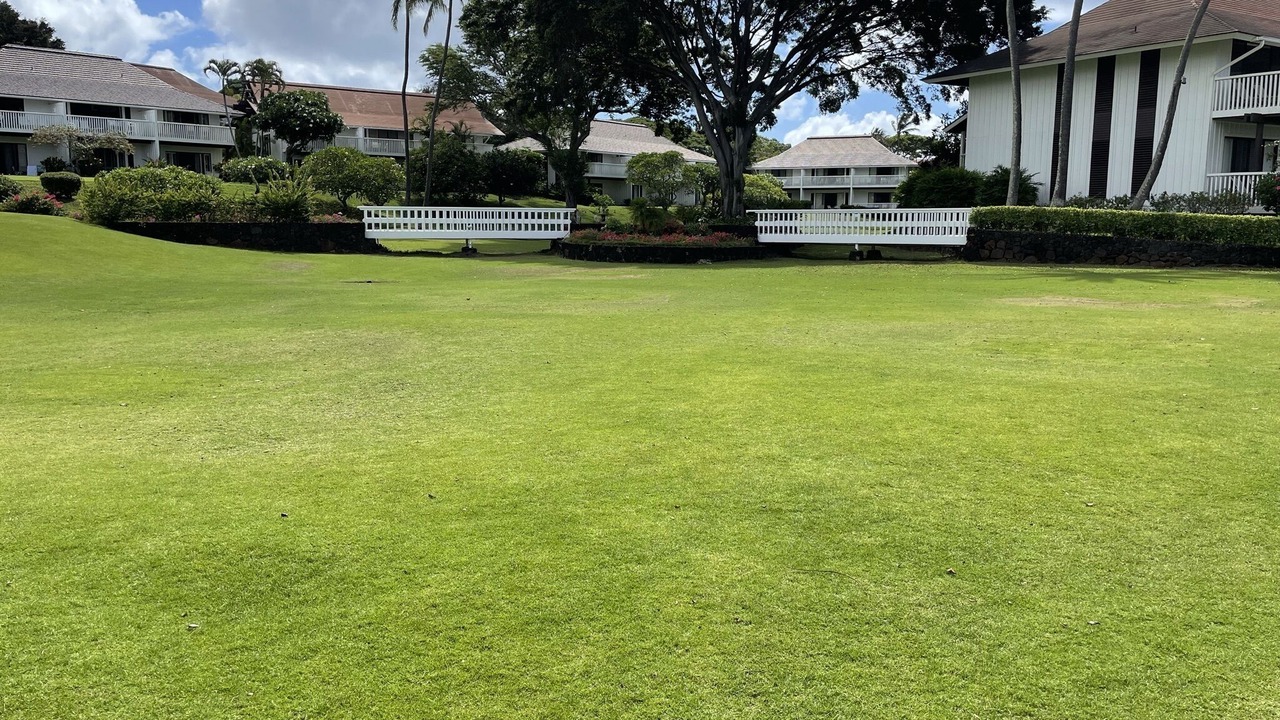 Photo of Others in Poipu
