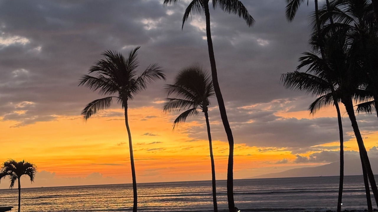 Photo of Others in Kihei