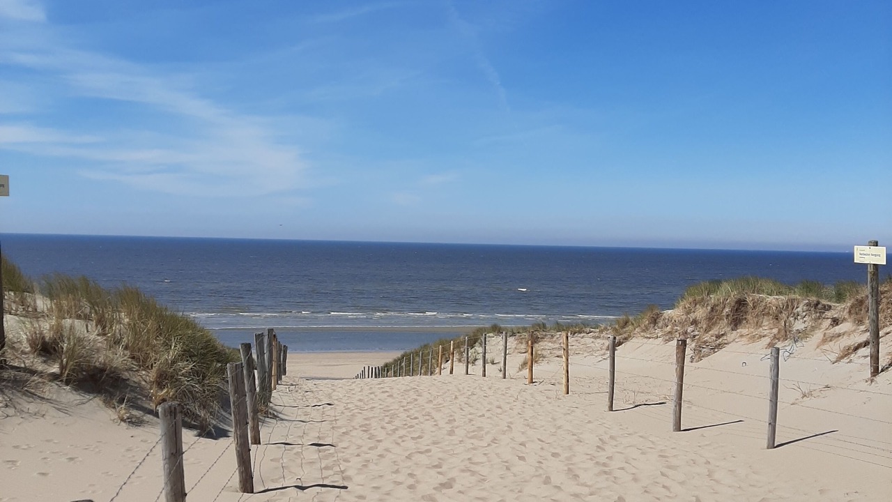 Photo of Others in Zandvoort