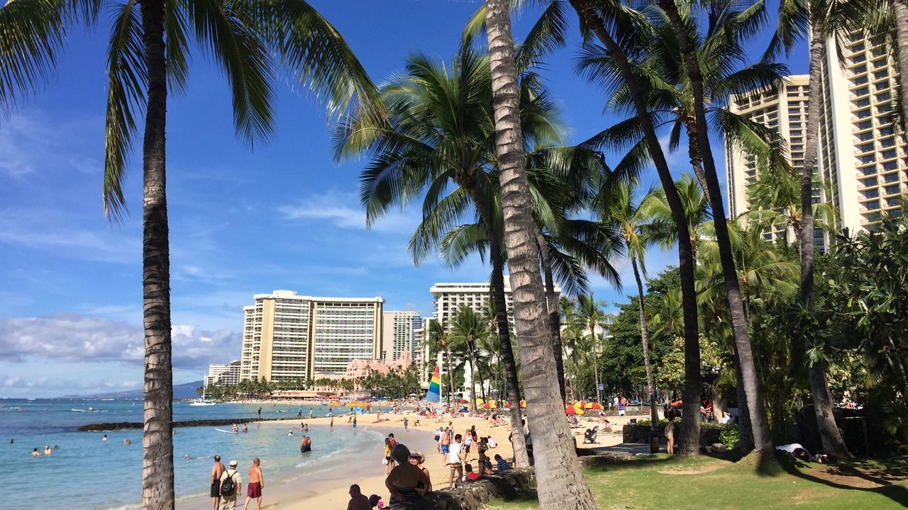 Photo of Others in Waikiki