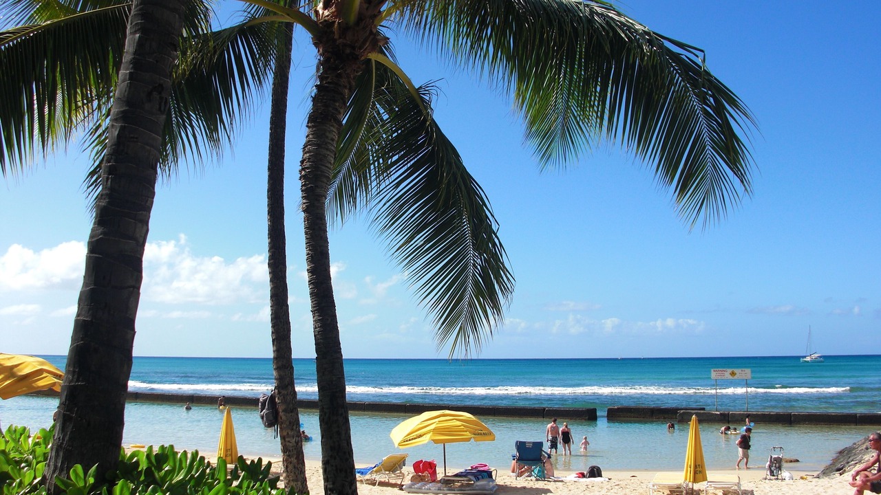 Photo of Others in Waikiki