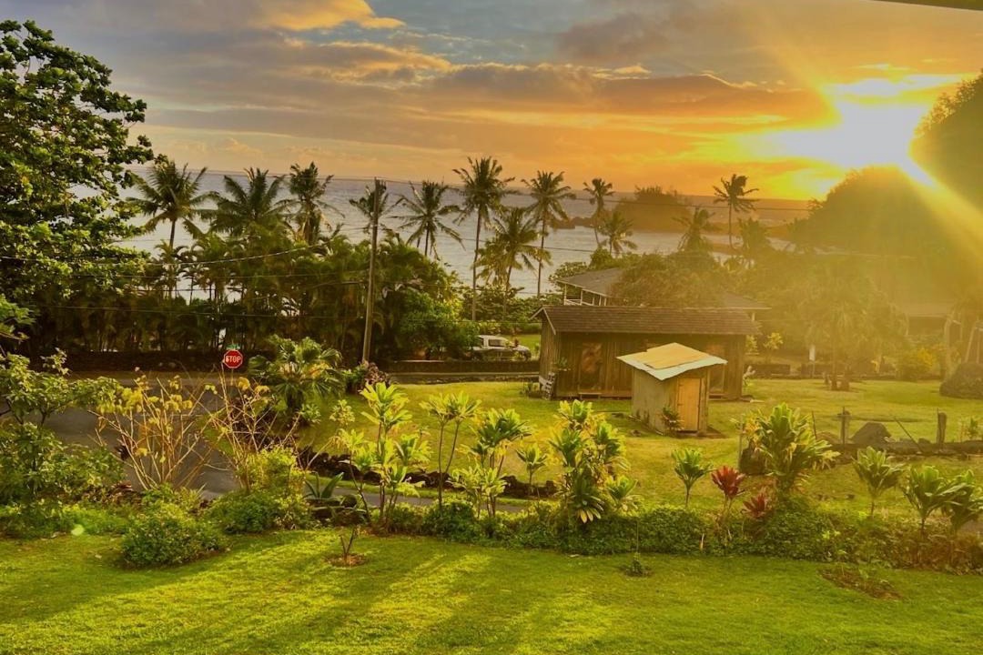 Photo of Others in Hana