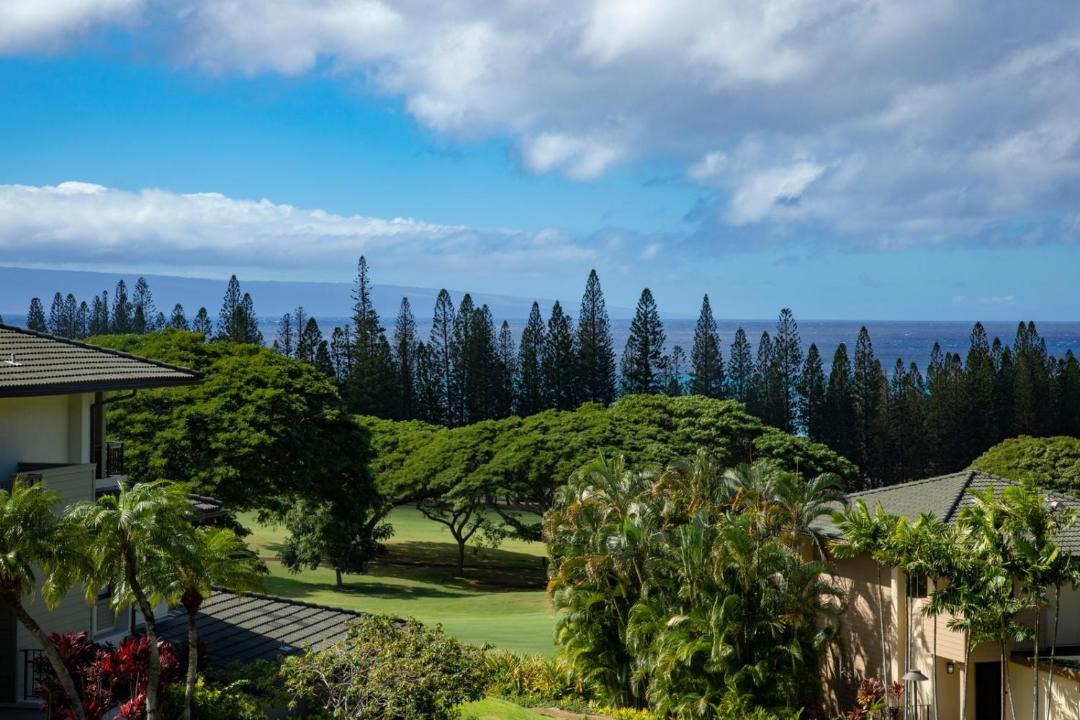Photo of Others in Kapalua