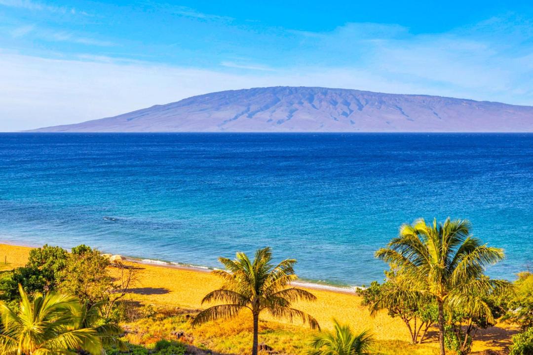 Photo of Others in Kaanapali