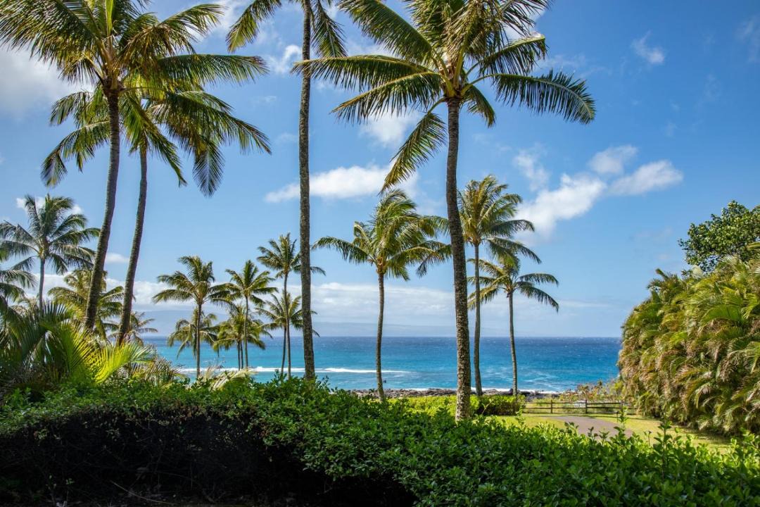 Photo of Others in Montage Kapalua Bay