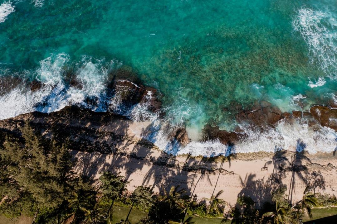 Photo of Others in Kahuku