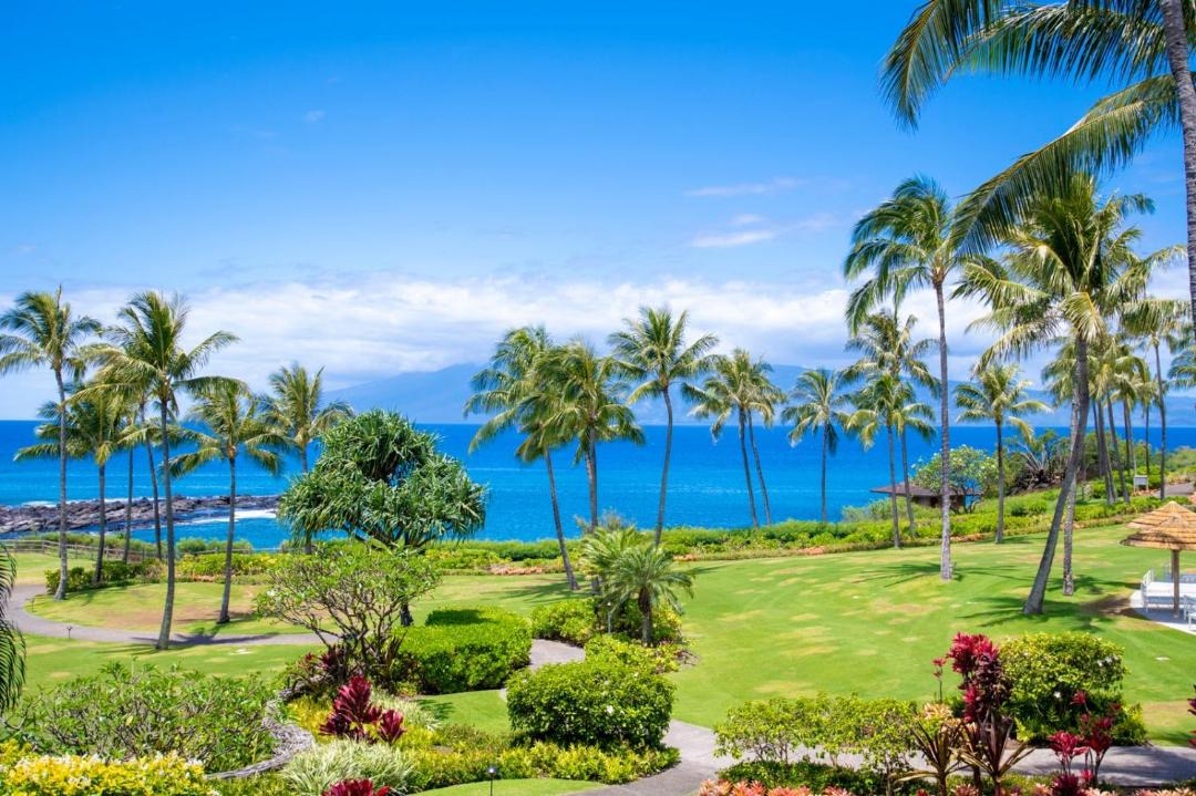 Photo of Others in Montage Kapalua Bay