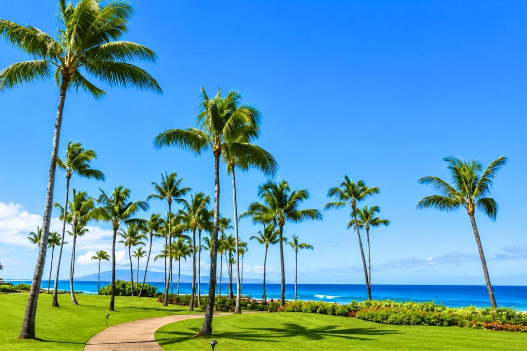 Photo of Others in Napili