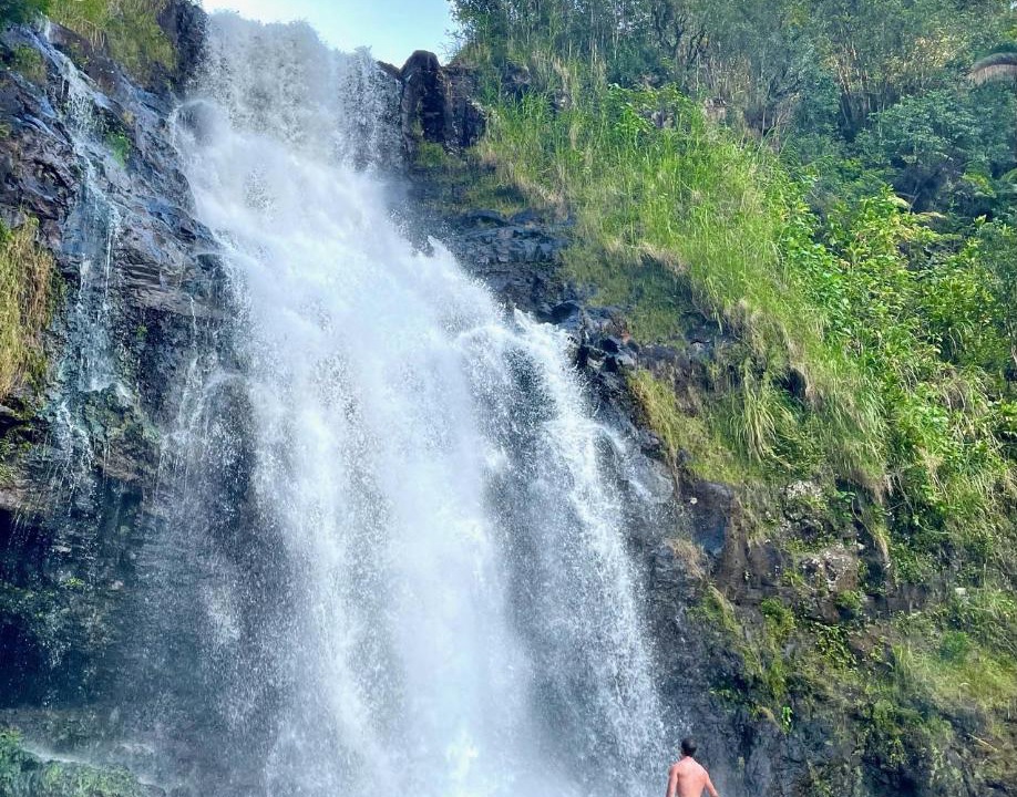 Photo of Others in Hilo