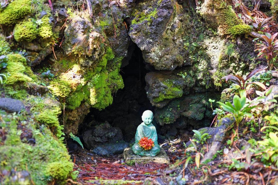 Photo of Others in Volcano