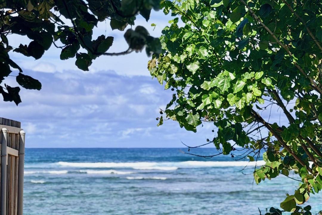Photo of Others in Mokuleia