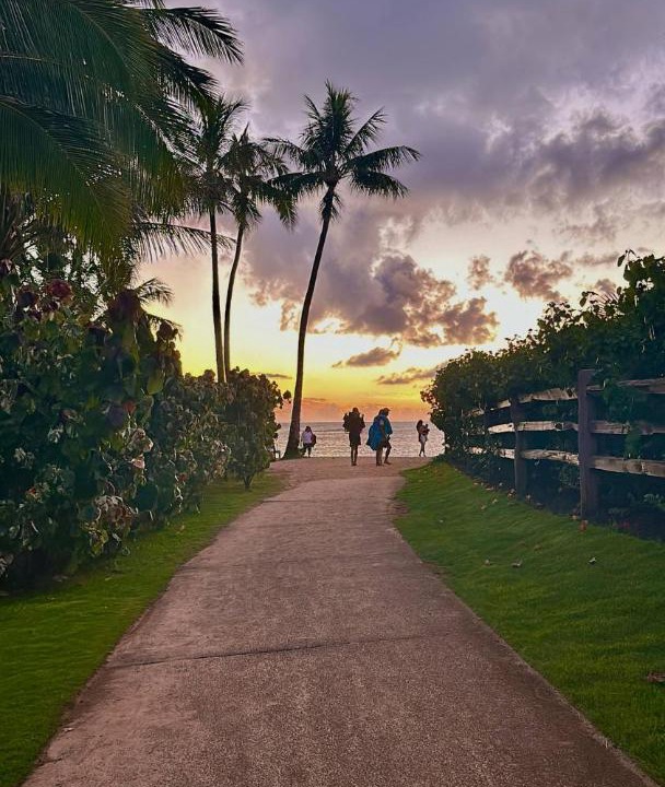 Photo of Others in Princeville