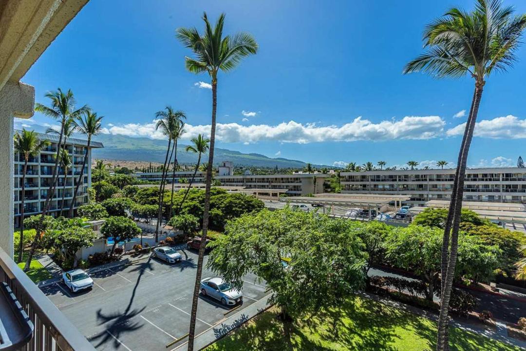 Photo of Others in Kihei