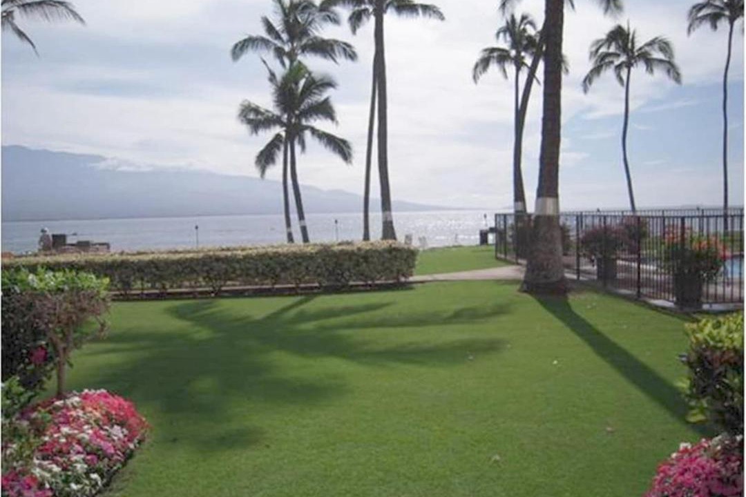 Photo of Others in Maalaea