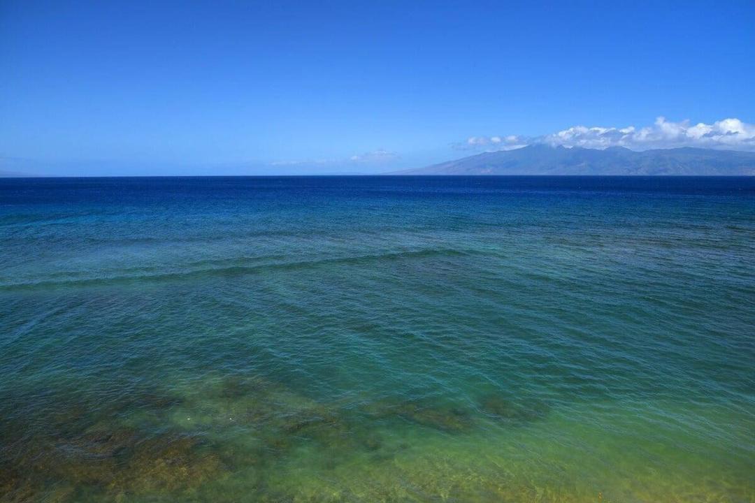 Photo of Others in Honokowai