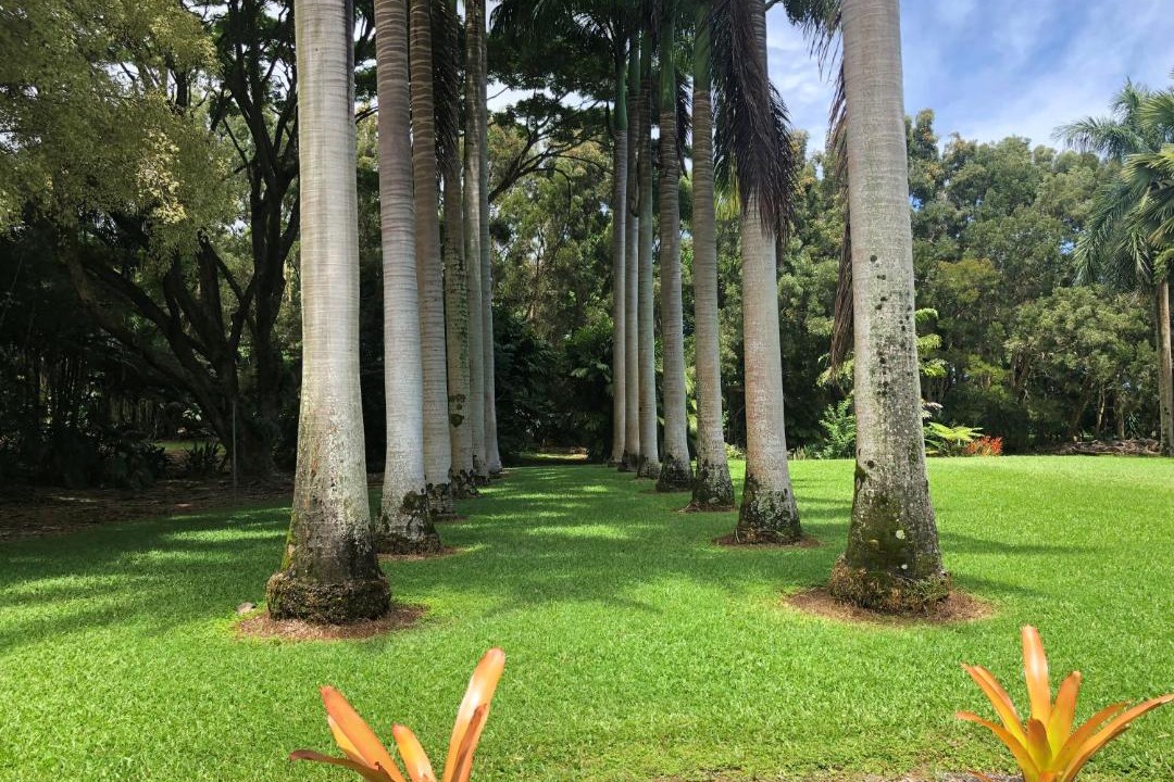 Photo of Others in Hakalau