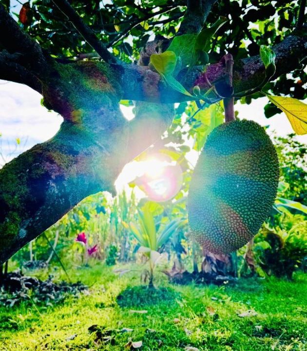 Photo of Others in Keaau