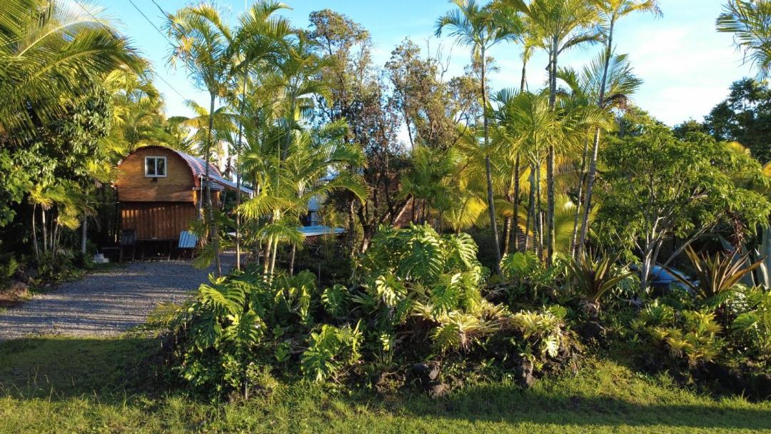 Photo of Others in Puna Palisades