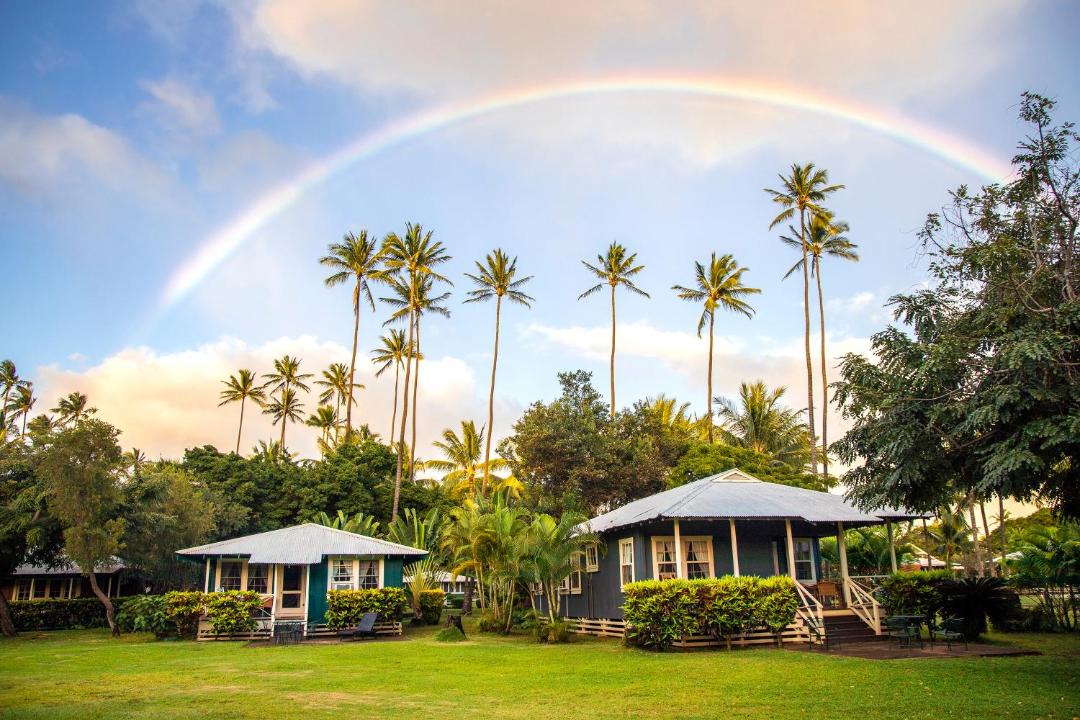 Photo of Others in Waimea