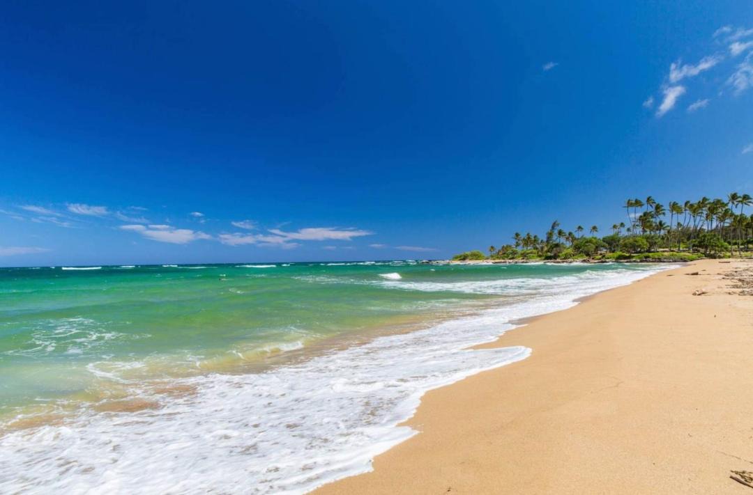 Photo of Others in Wailua