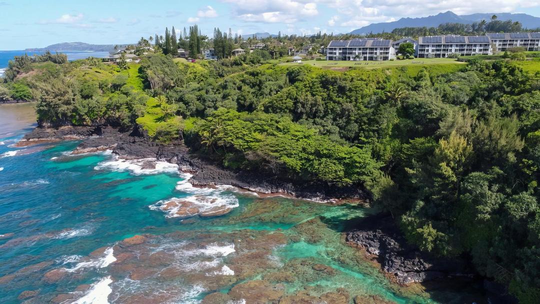 Photo of Others in Princeville