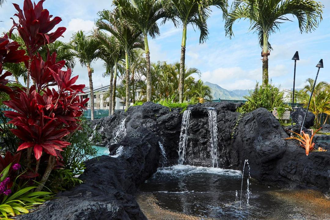 Photo of Others in Princeville