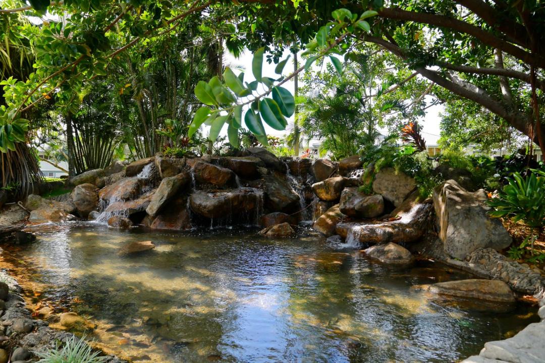Photo of Others in Princeville