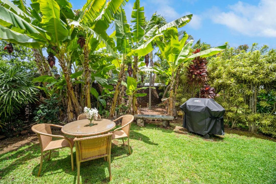 Photo of Others in Poipu