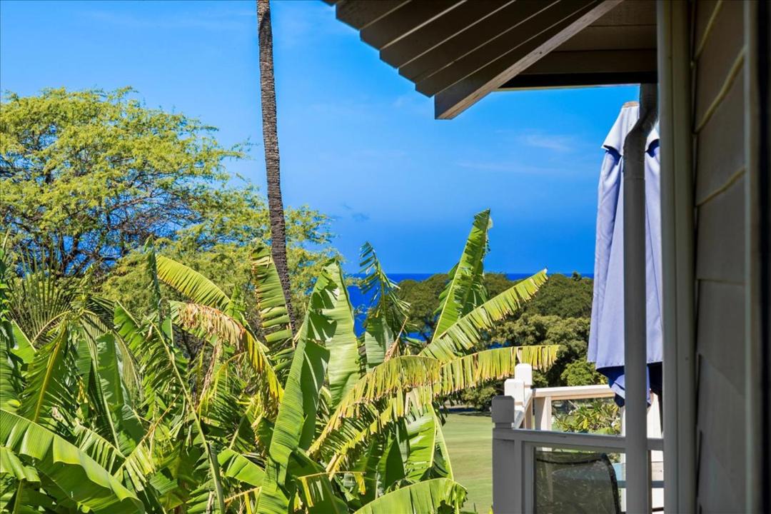 Photo of Others in Wailea