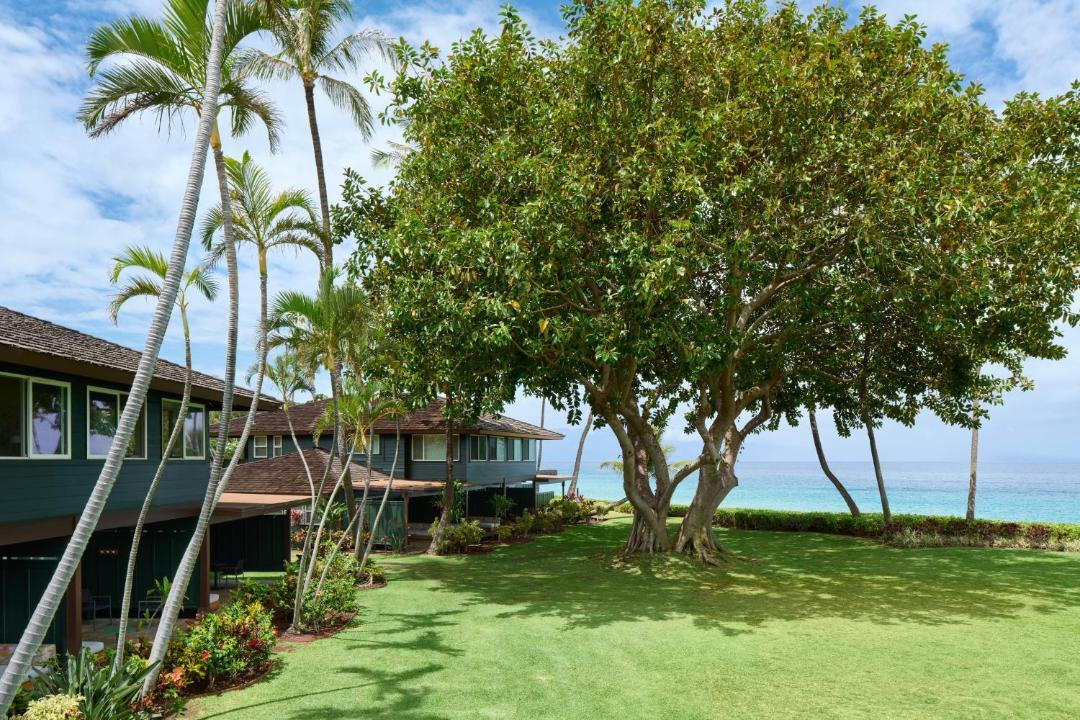 Photo of Others in Kaanapali