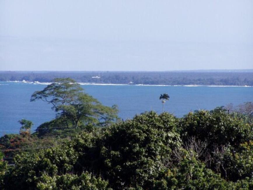 Photo of Others in Papaikou