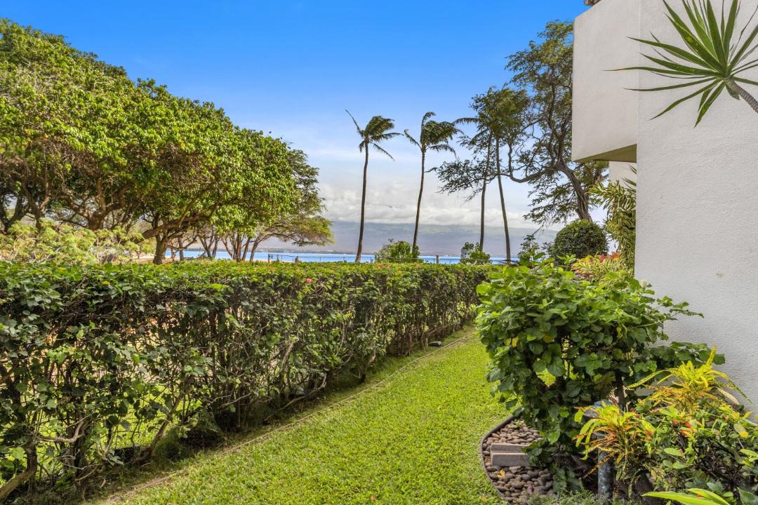 Photo of Others in Maalaea
