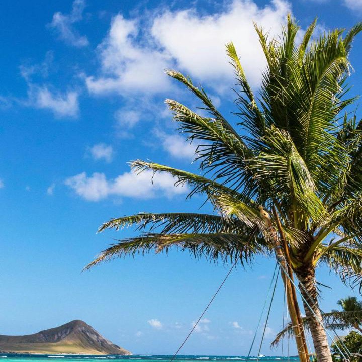 Photo of Others in Kapolei