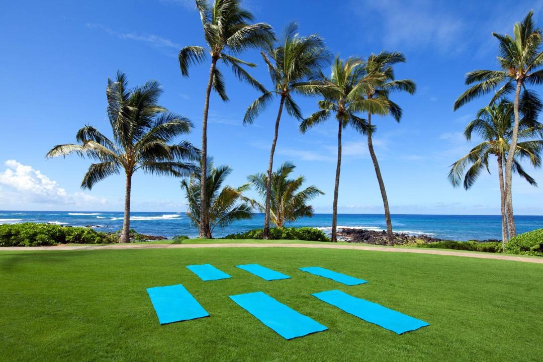 Photo of Others in Poipu