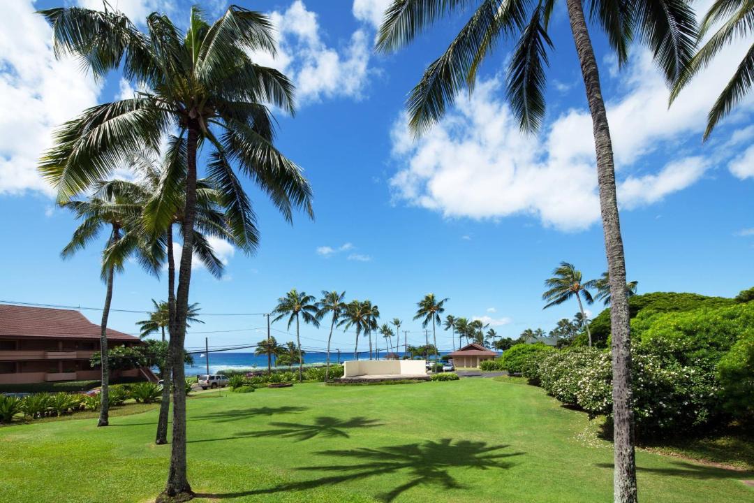 Photo of Others in Poipu