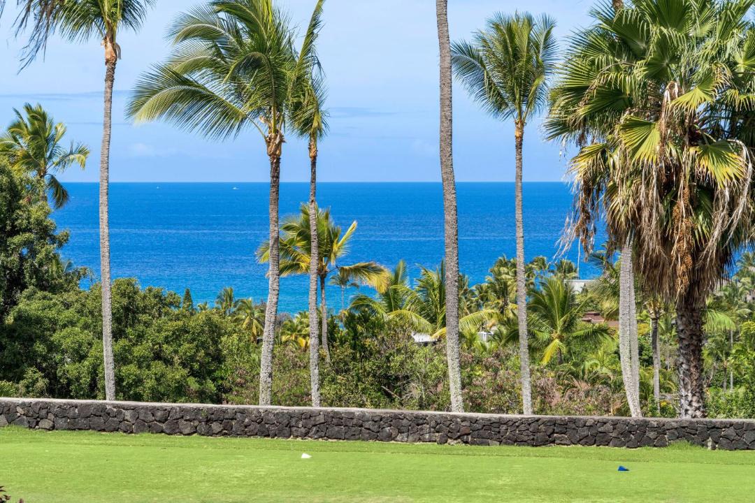 Photo of Others in Keauhou